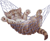 GATOS DURMIENDO