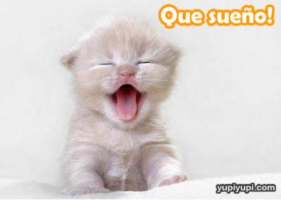 sue&ntilde;o&iexcl;&iexcl;&iexcl;&iexcl;