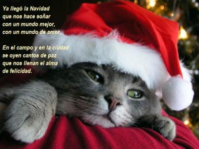 poesia de navidad